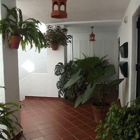 Apartamento En Conil Кониль-де-ла-Фронтера Экстерьер фото