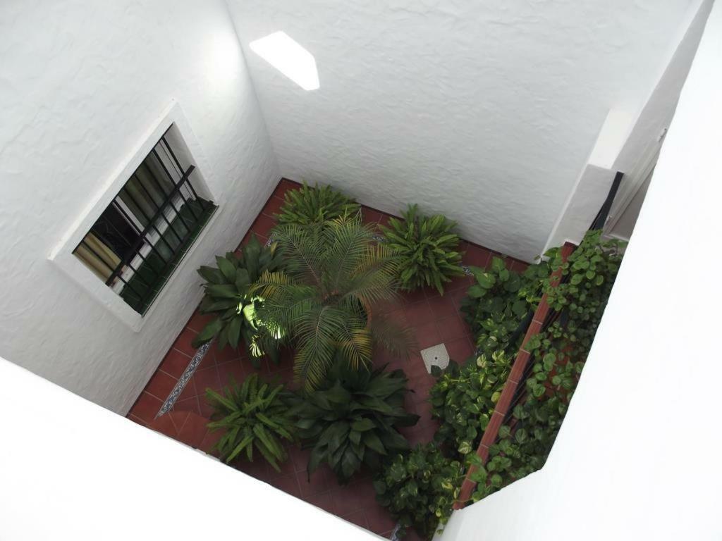 Apartamento En Conil Кониль-де-ла-Фронтера Экстерьер фото